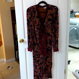 Ronny kobo velvet dress